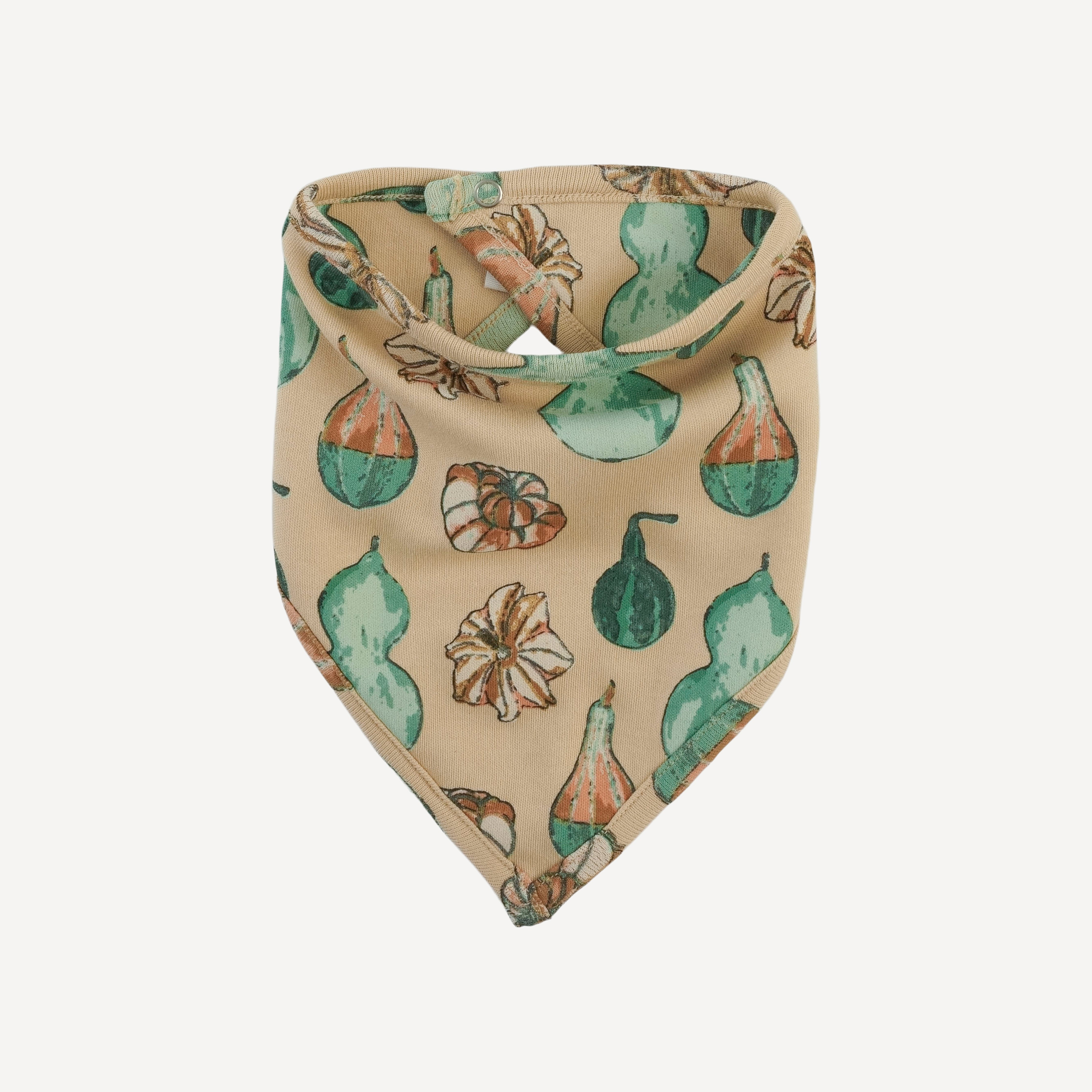 PRESALE bandana bib | watercolor gourd | organic cotton interlock