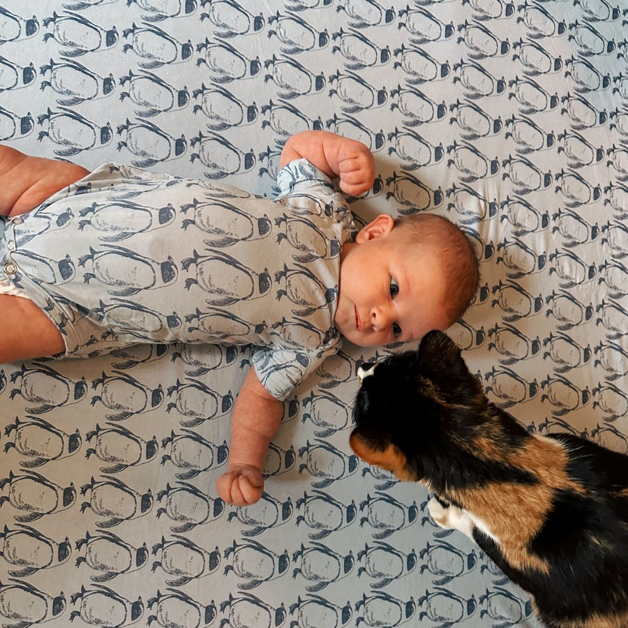 kate quinn | we make what babies wear