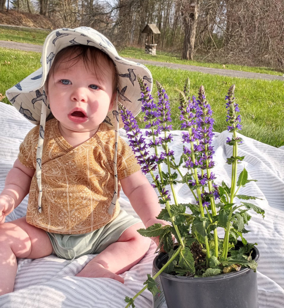Little One of the Week | Bela