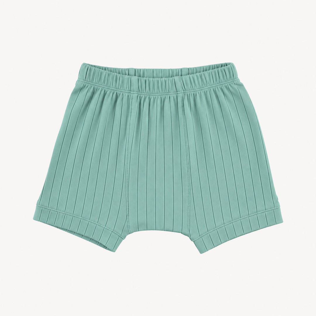 PREORDER classic panda short | blue haze | woods rib