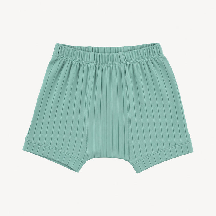 PREORDER classic panda short | blue haze | woods rib