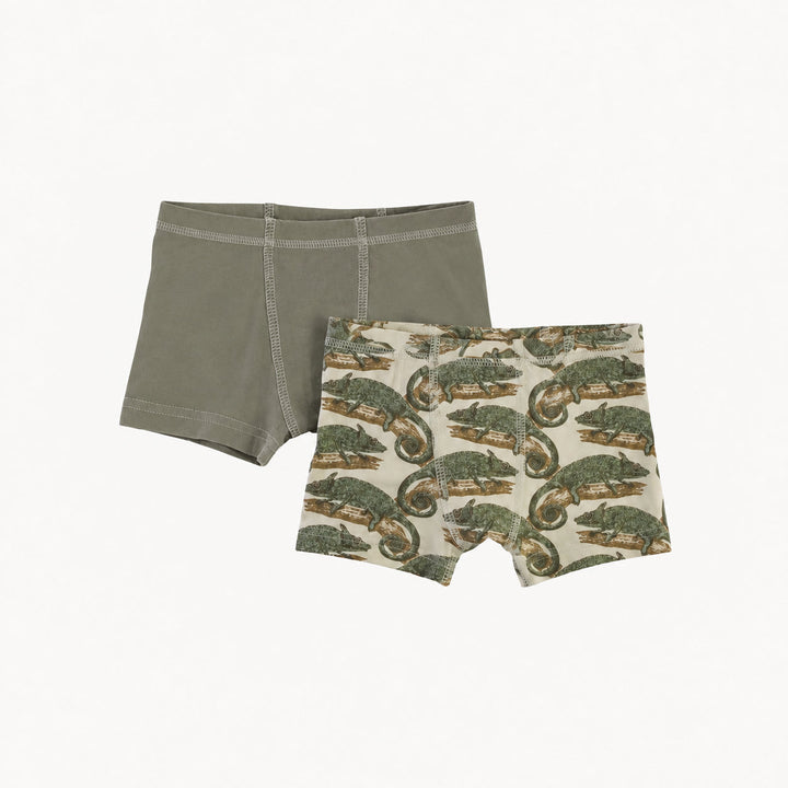 PREORDER boxer set of 2 | chameleon | modal