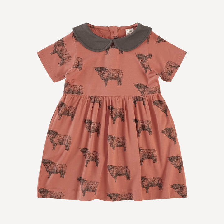 short sleeve peter pan dress | aragon highland cow | bamboo