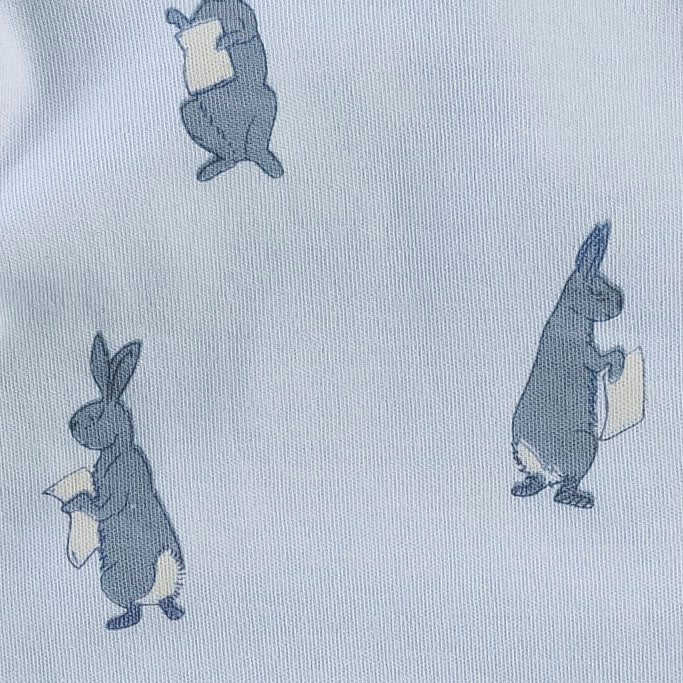 short sleeve basic henley tee | arctic rabbit | organic cotton interlock
