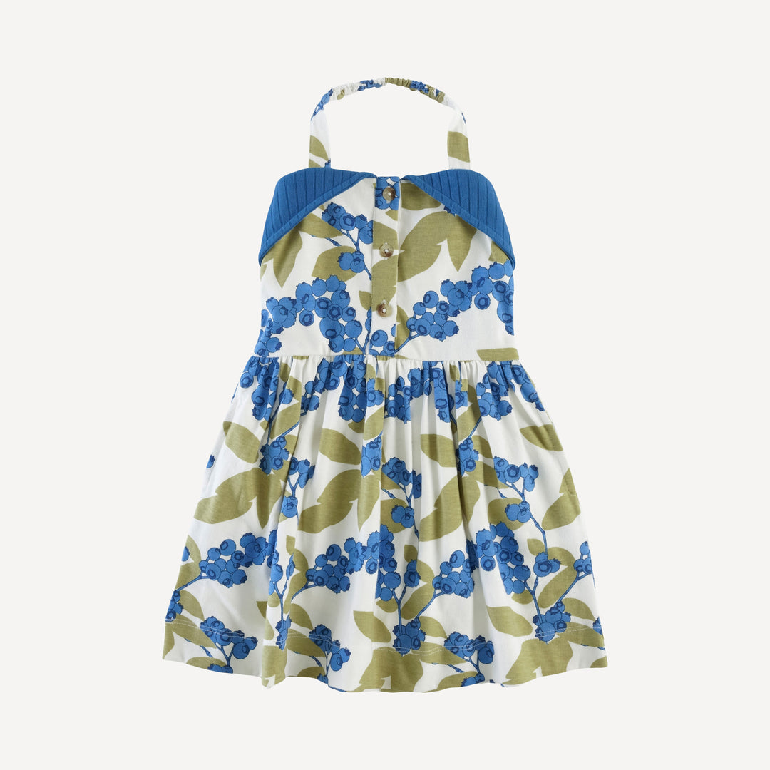 halter dress | blueberries | organic cotton jersey