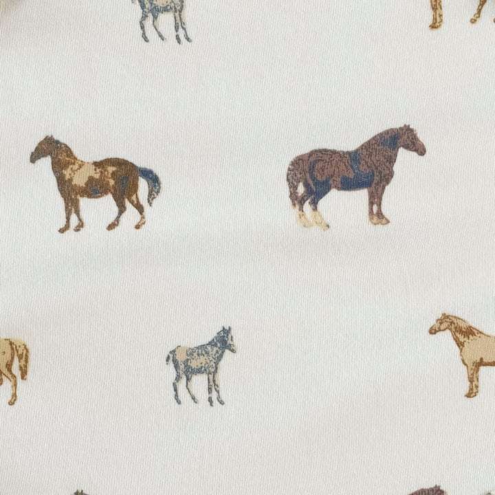 long sleeve hazel twirl dress | blue country horse | organic cotton interlock