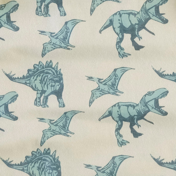 shacket | blue dinosaurs | organic cotton jersey