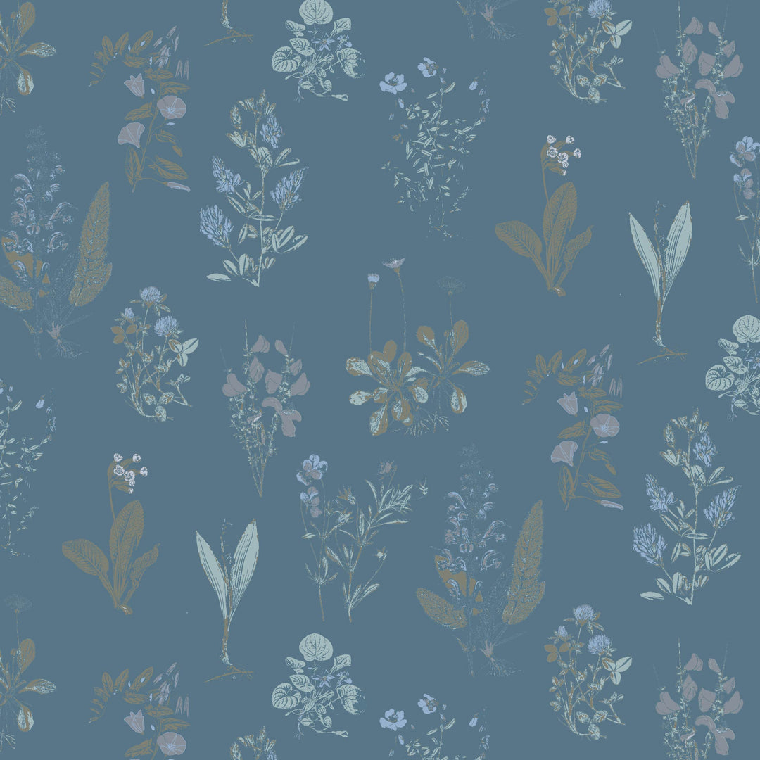 PREORDER double layer blanket | blue litho | modal
