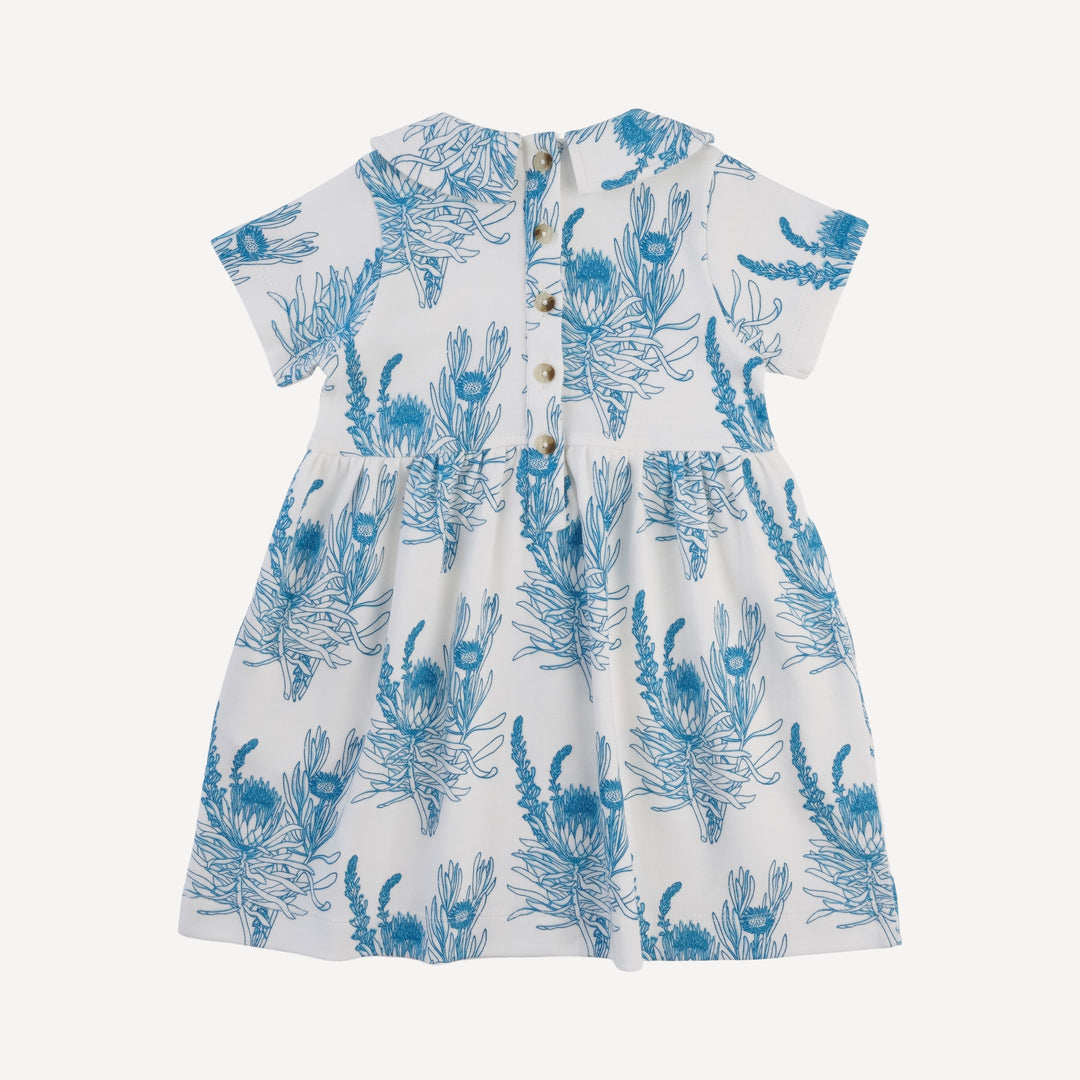 short sleeve peter pan dress | blue proteas | organic cotton interlock