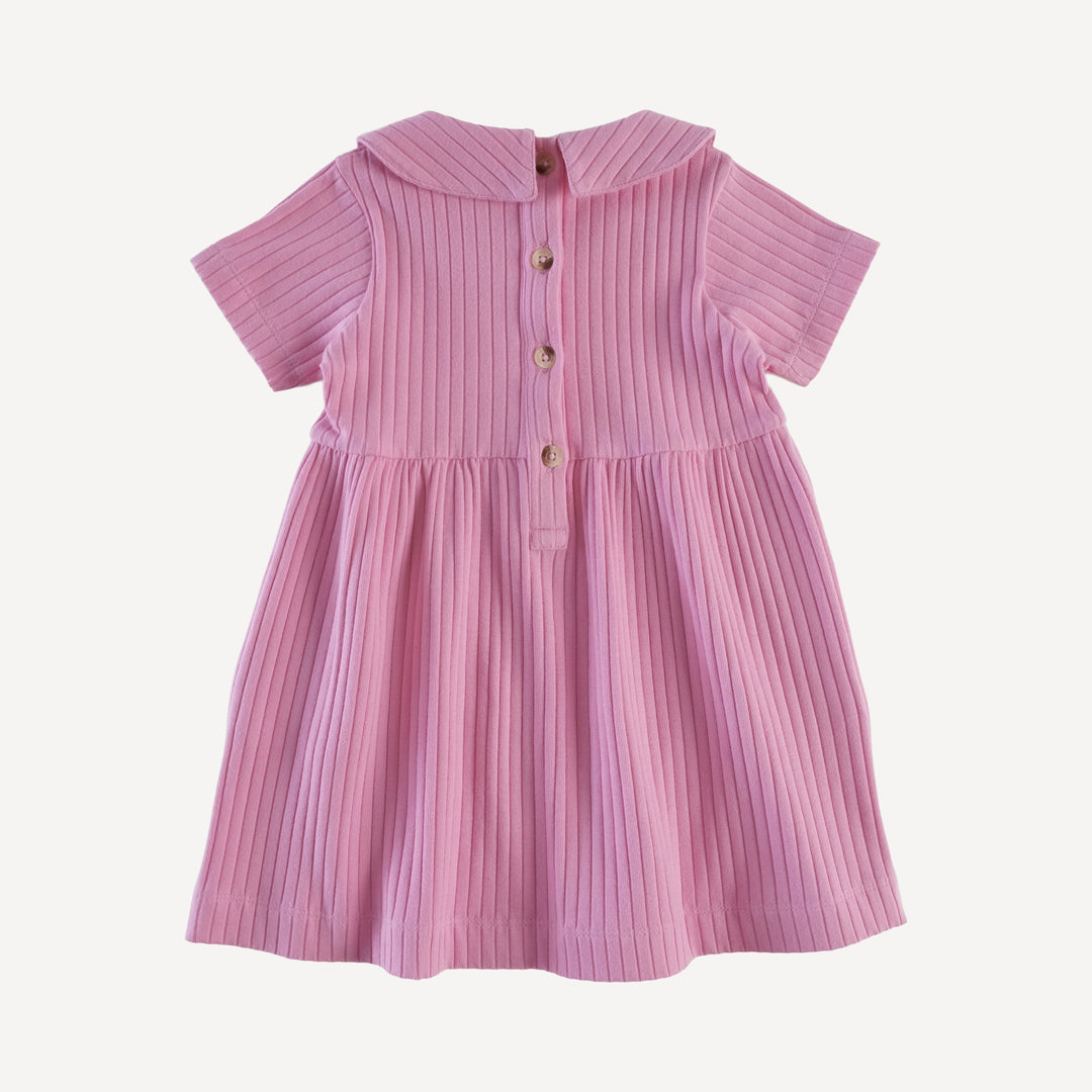 short sleeve peter pan dress | bonbon | organic cotton wide rib