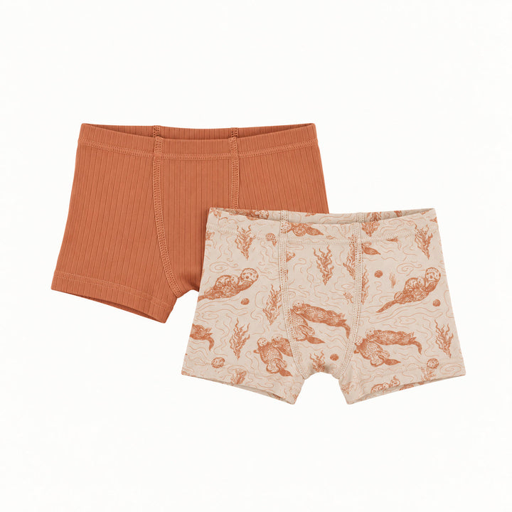 PREORDER boxer set of 2 | otters | modal