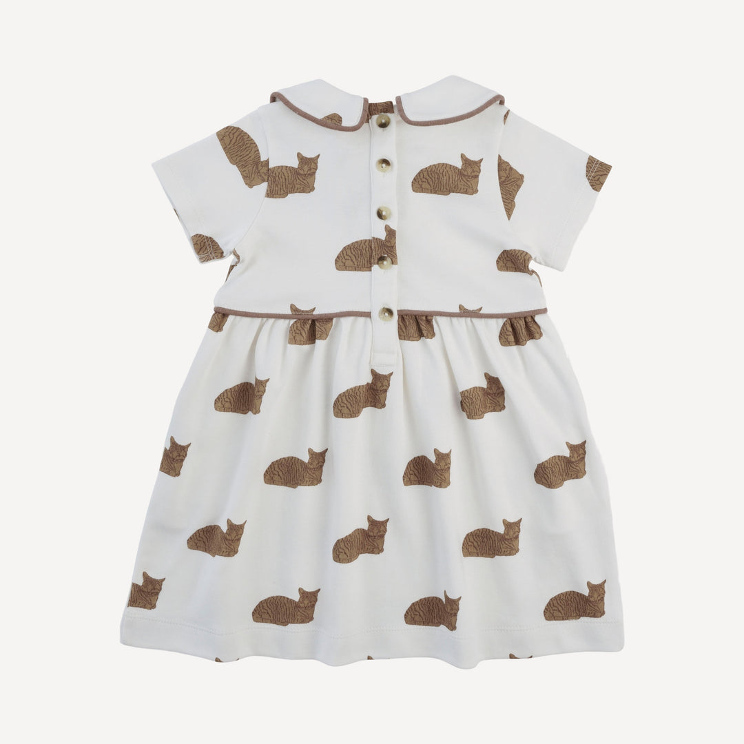 short sleeve peter pan piped keyhole dress | chocolate cat | organic cotton interlock