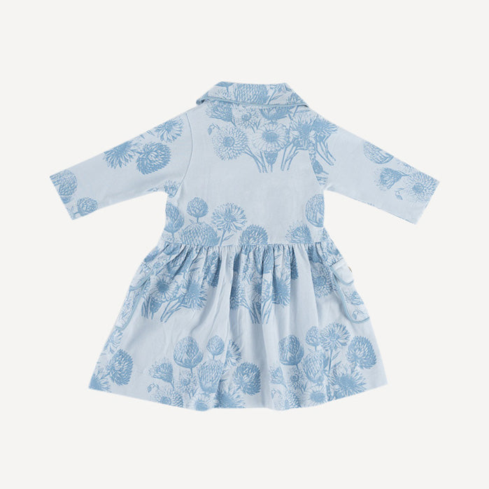 long sleeve peter pan apron dress | blue dahlia | organic cotton jersey
