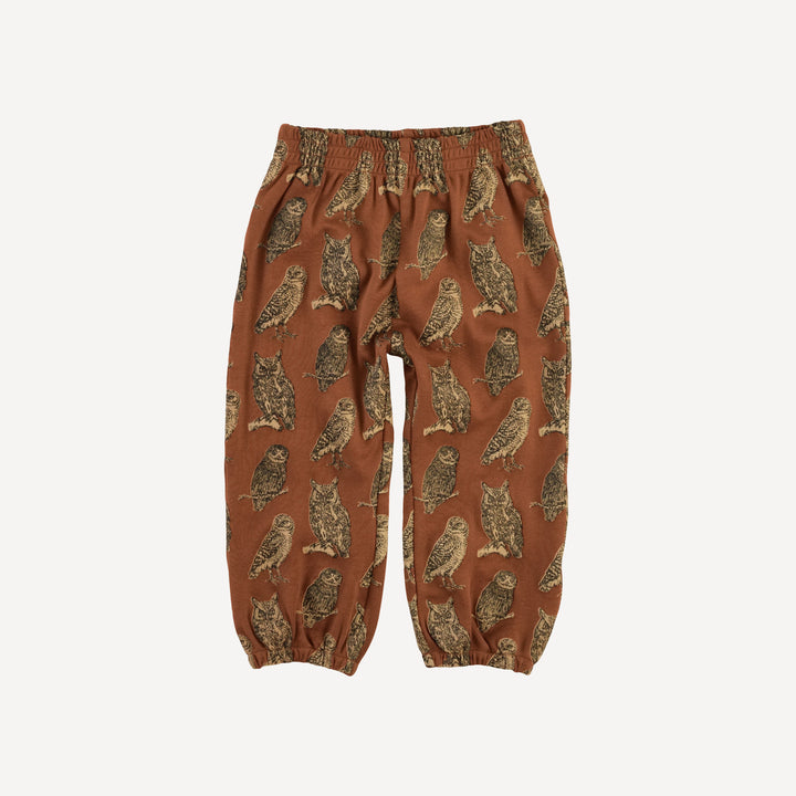 long sleeve relaxed jogger set | owl friends | organic cotton interlock