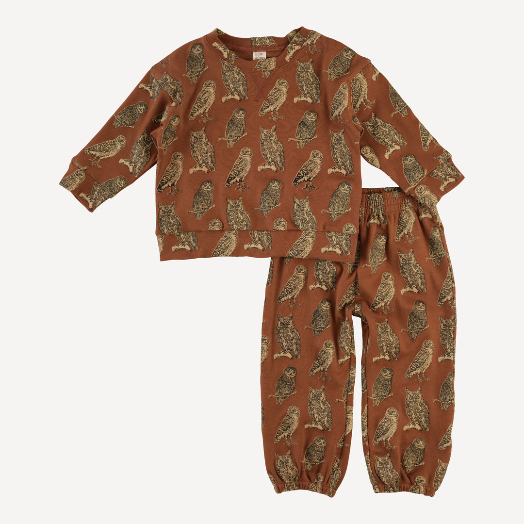 long sleeve relaxed jogger set | owl friends | organic cotton interlock