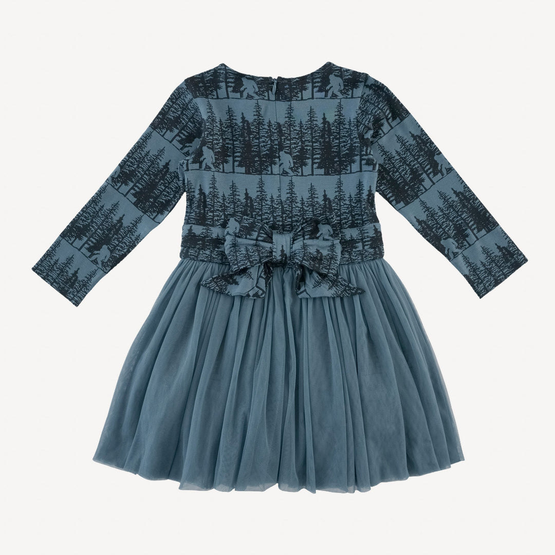 long sleeve classic tulle ballet dress | sasquatch | bamboo