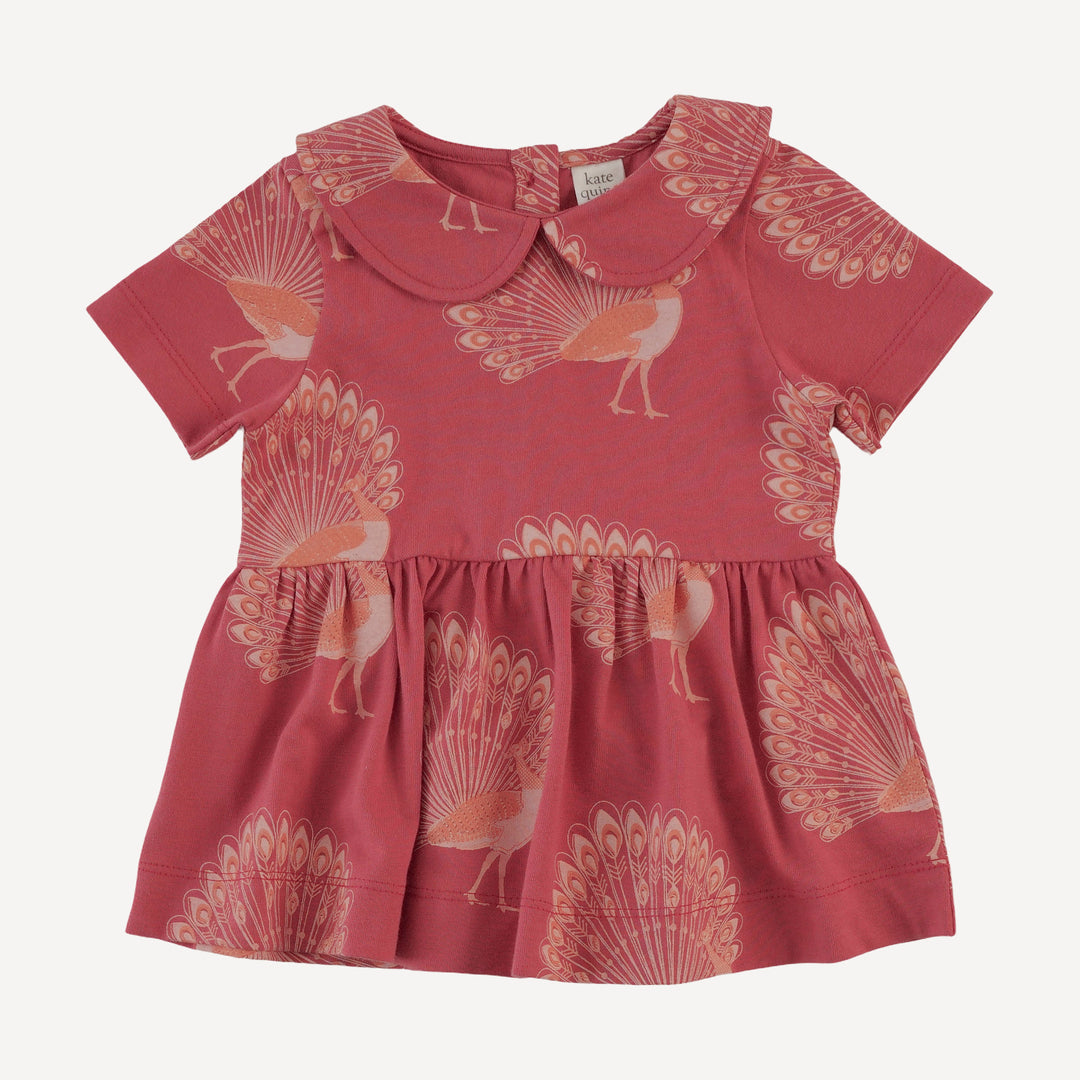 short sleeve payton set | orange peacock | organic cotton jersey