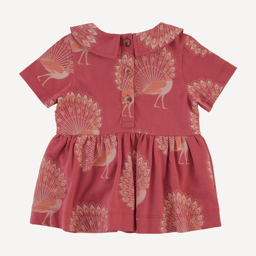 short sleeve payton set | orange peacock | organic cotton jersey