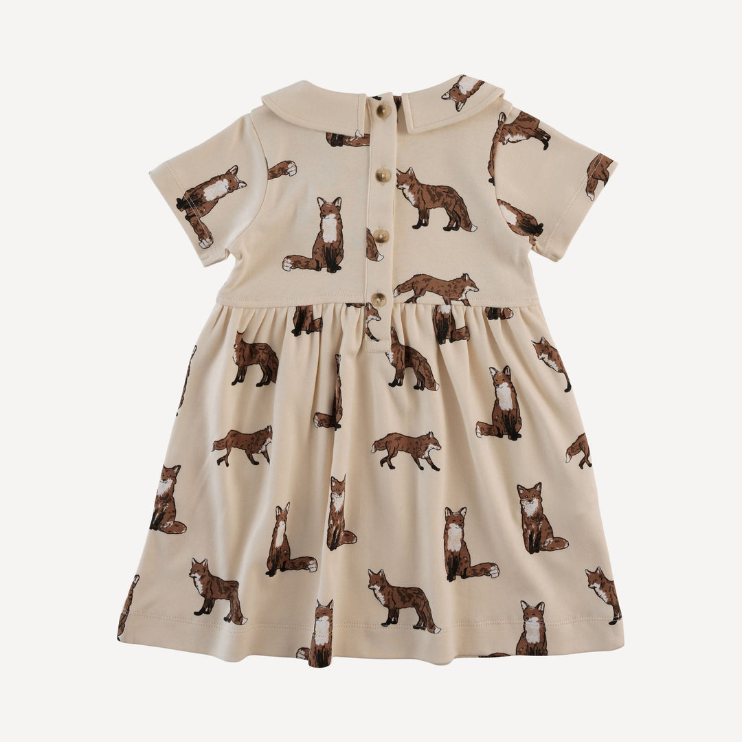 short sleeve peter pan dress | winter fox | organic cotton interlock