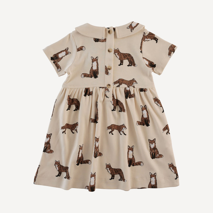 short sleeve peter pan dress | winter fox | organic cotton interlock