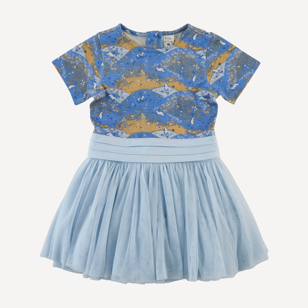 short sleeve classic tulle ballet dress | bunny fields | bamboo