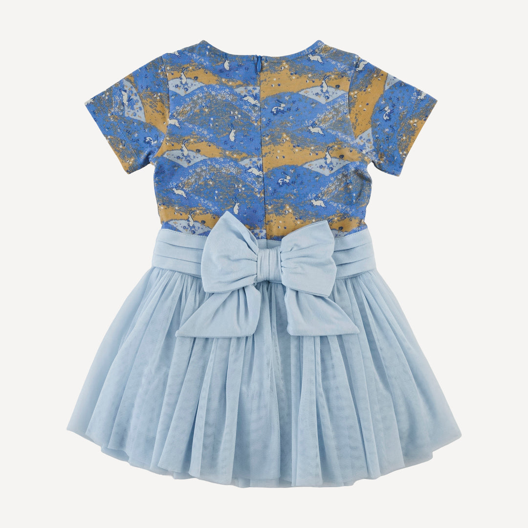short sleeve classic tulle ballet dress | bunny fields | bamboo