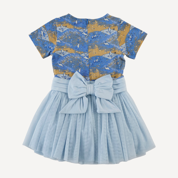 short sleeve classic tulle ballet dress | bunny fields | bamboo