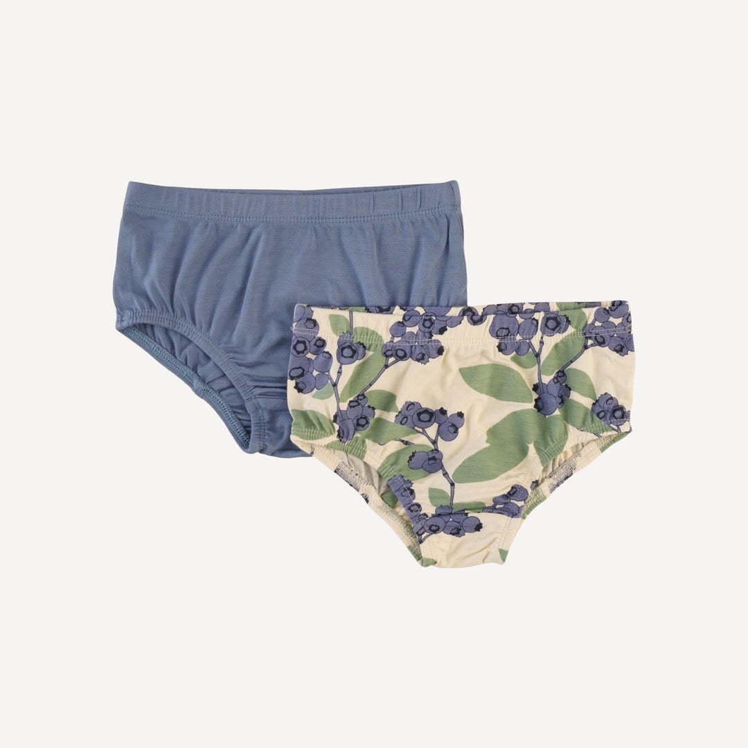 underwear set of 2 | blueberries | bamboo