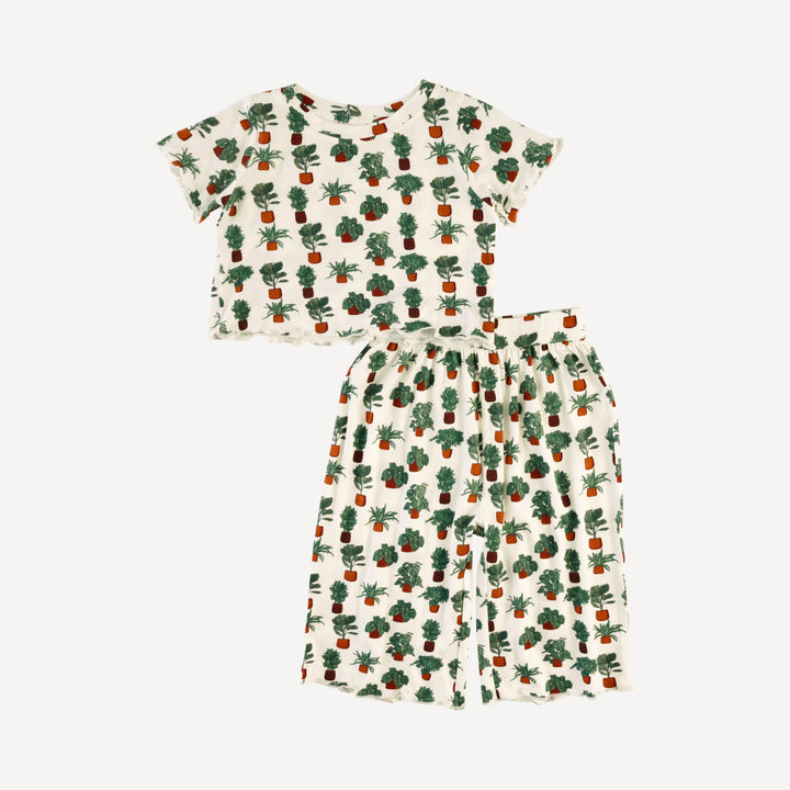 short sleeve jade set | houseplants | bamboo