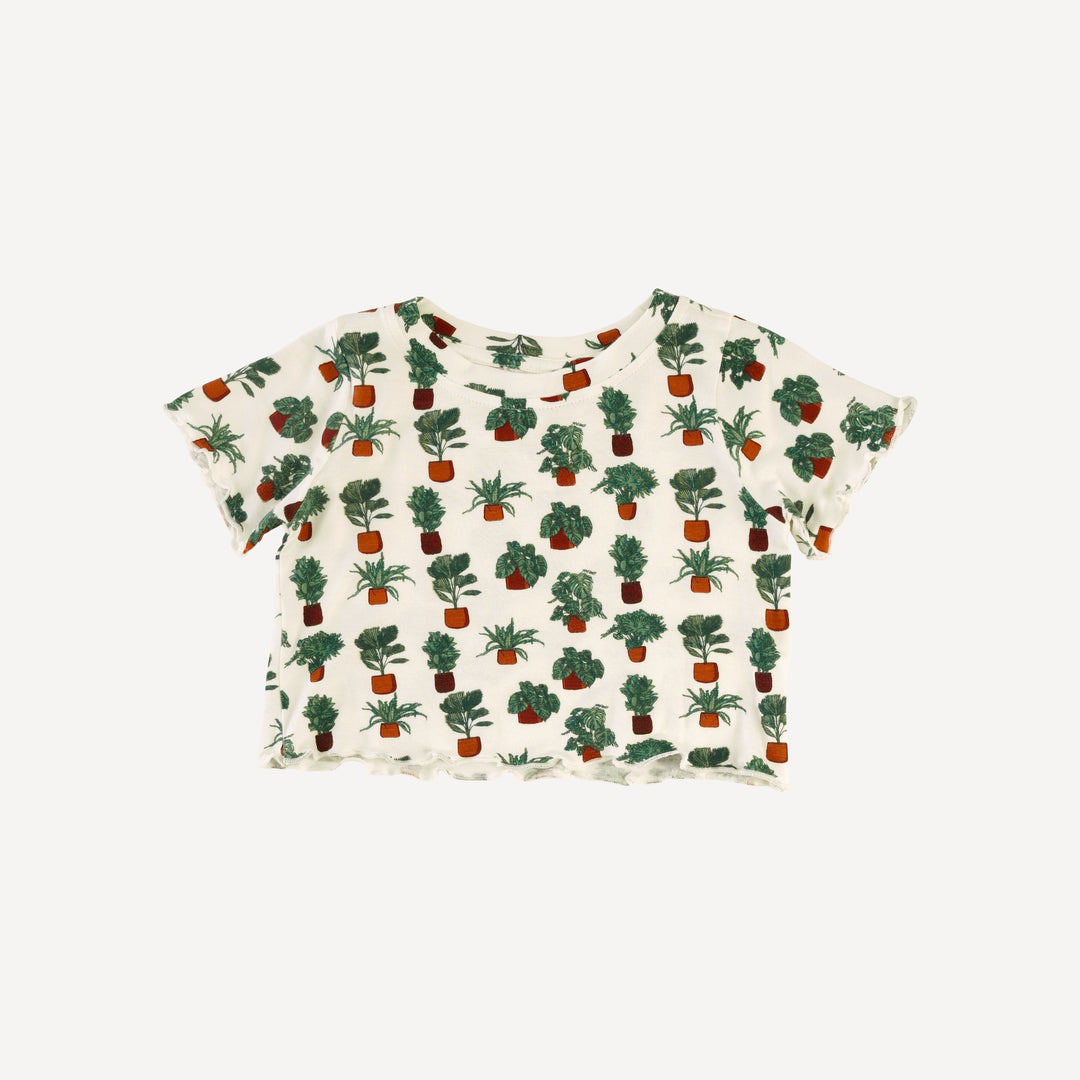 short sleeve jade set | houseplants | bamboo