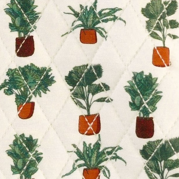 quilted hooded jacket | houseplants | bamboo