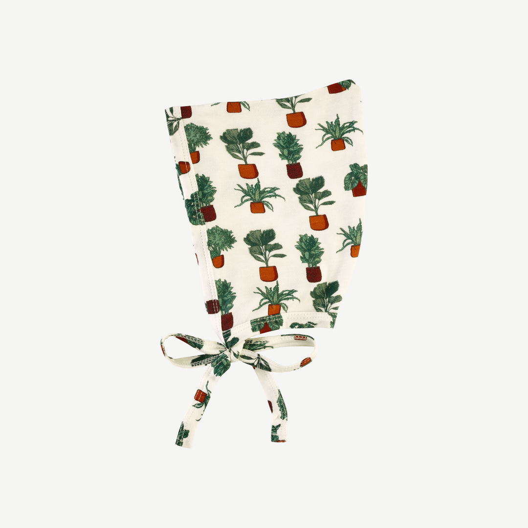 elf hat | houseplants | bamboo