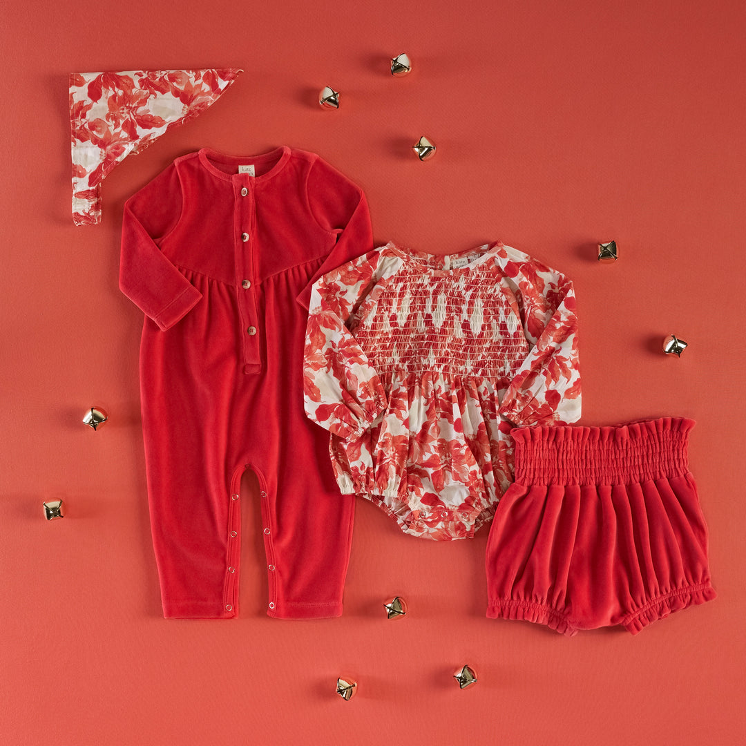 poinsettia + cardinal set