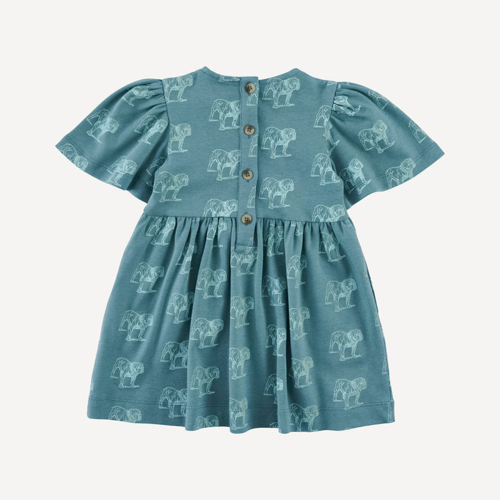 bell sleeve dress | blue bulldog | organic cotton interlock