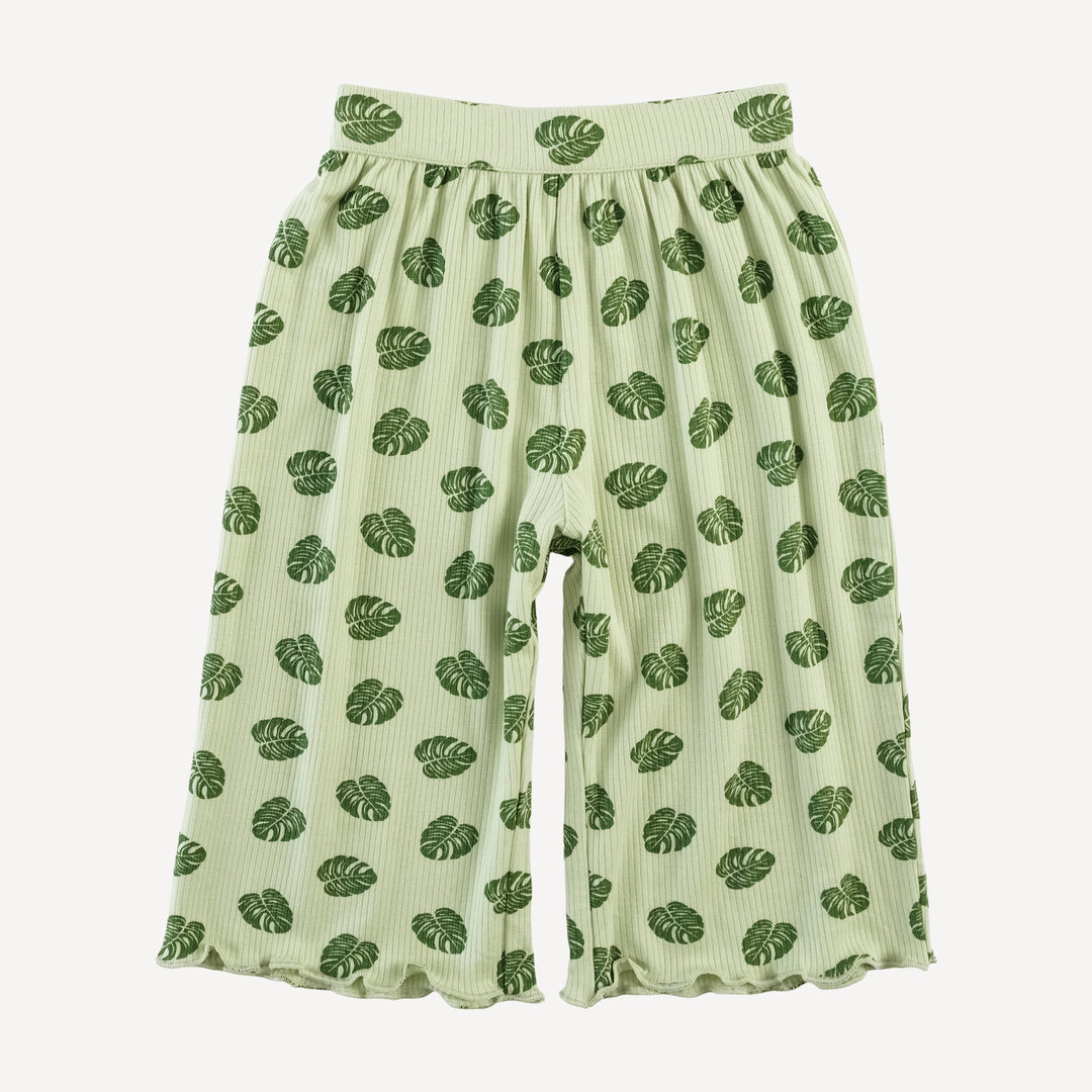 jade set | tiny monstera | modal skinny rib