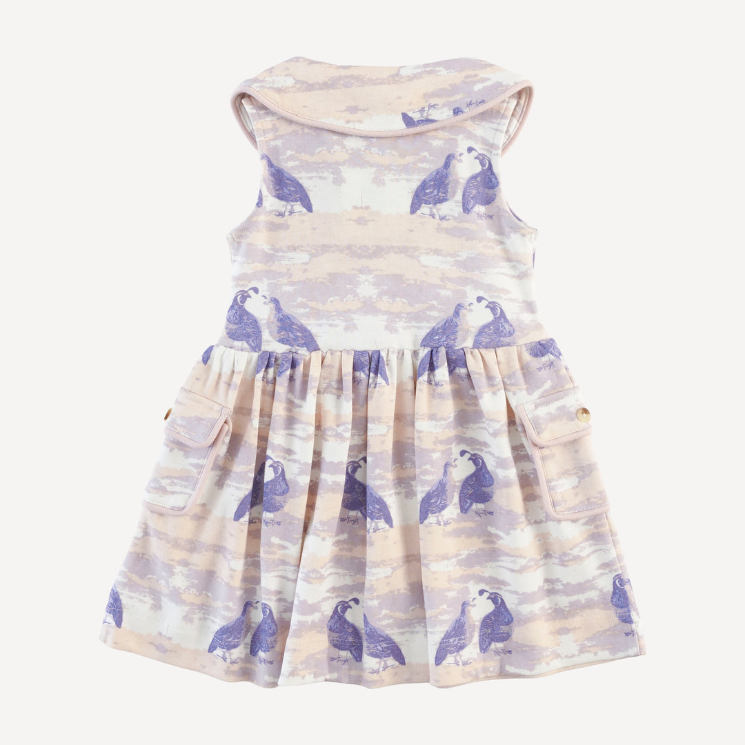 sleeveless peter pan apron dress | purple quail | organic cotton interlock