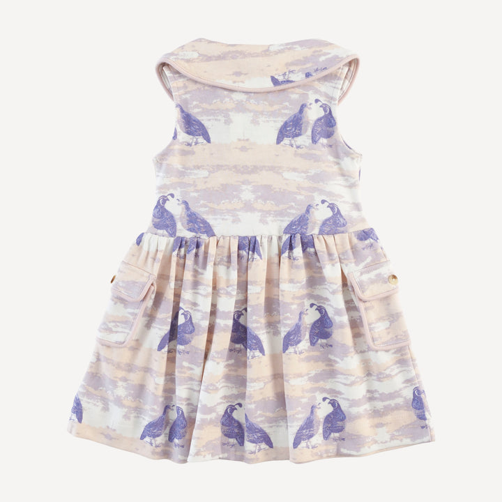 sleeveless peter pan apron dress | purple quail | organic cotton interlock