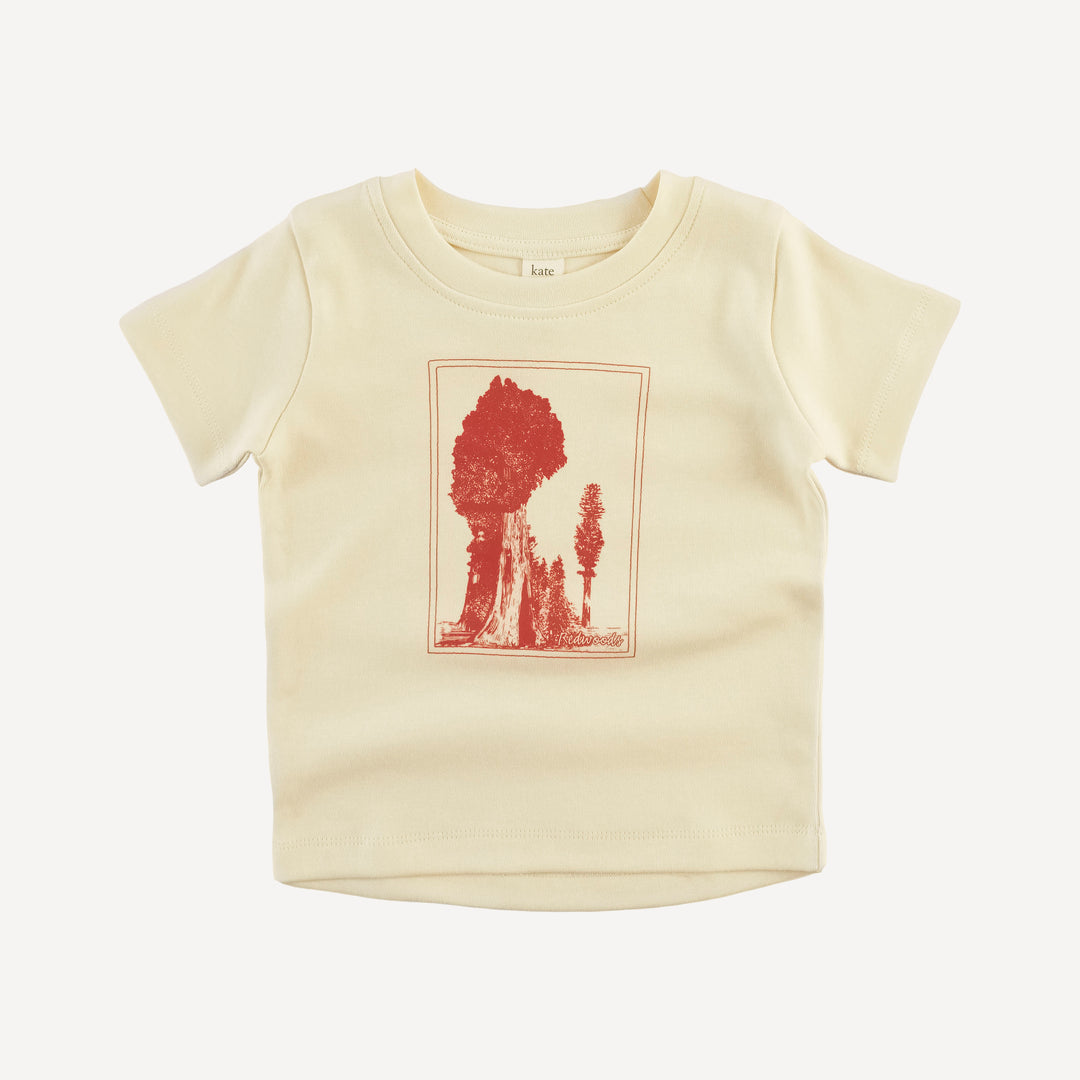 short sleeve essential boxy tee | redwoods | organic cotton interlock