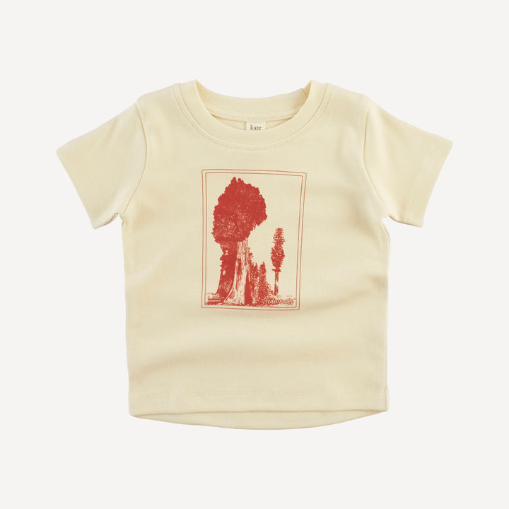 short sleeve essential boxy tee | redwoods | organic cotton interlock