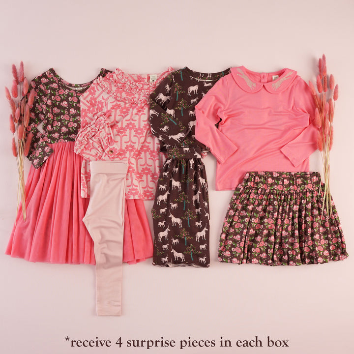 Surprise Box (Monthly)