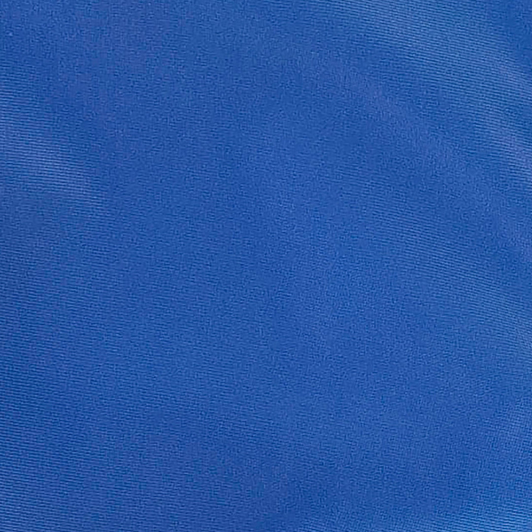 swim short | vivid blue  | swim