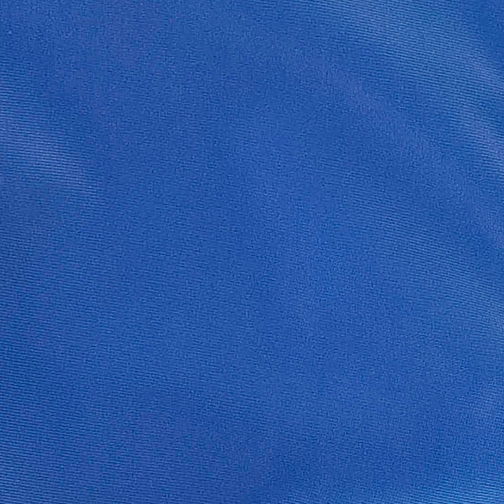 swim short | vivid blue  | swim