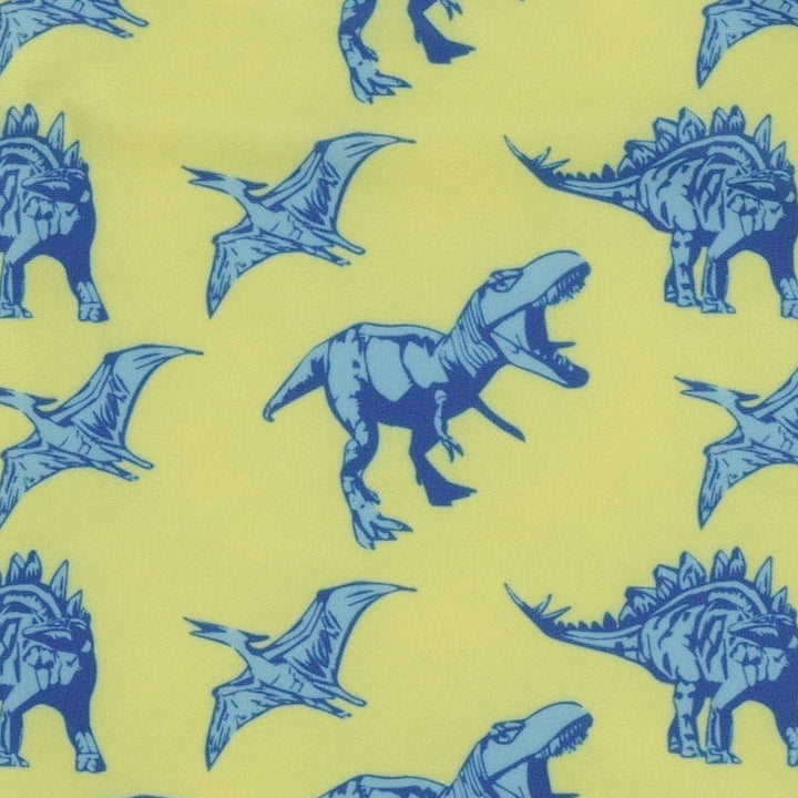 long sleeve rash guard tee | vivid blue dinosaurs | swim