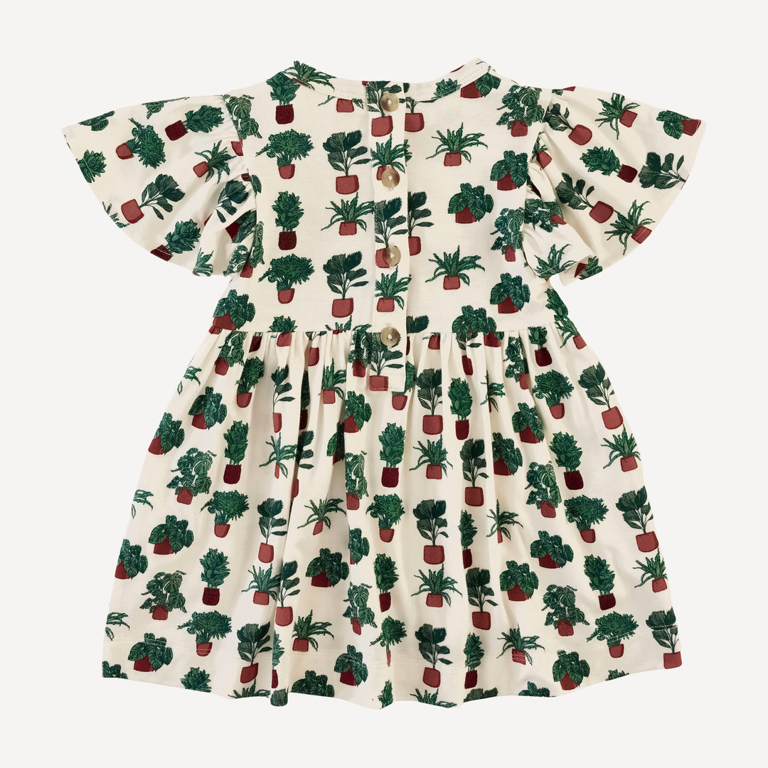 flutter sleeve dress | houseplants | bamboo