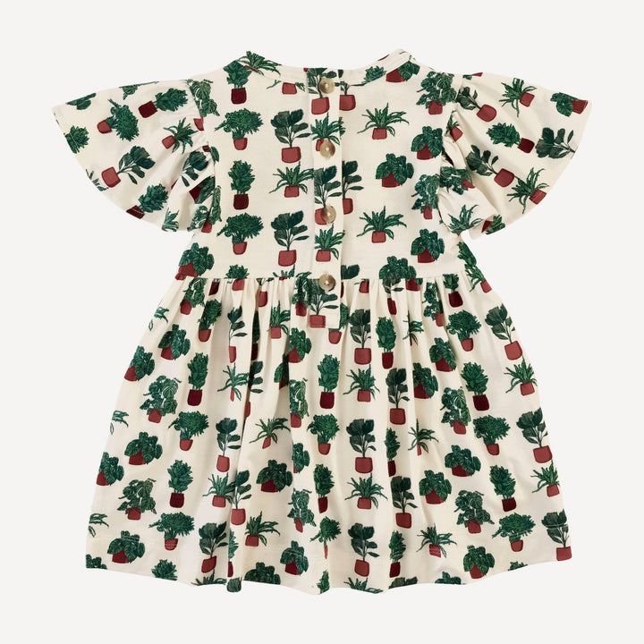 flutter sleeve dress | houseplants | bamboo