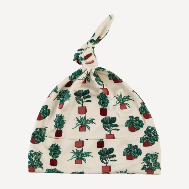 knot hat | houseplants | bamboo