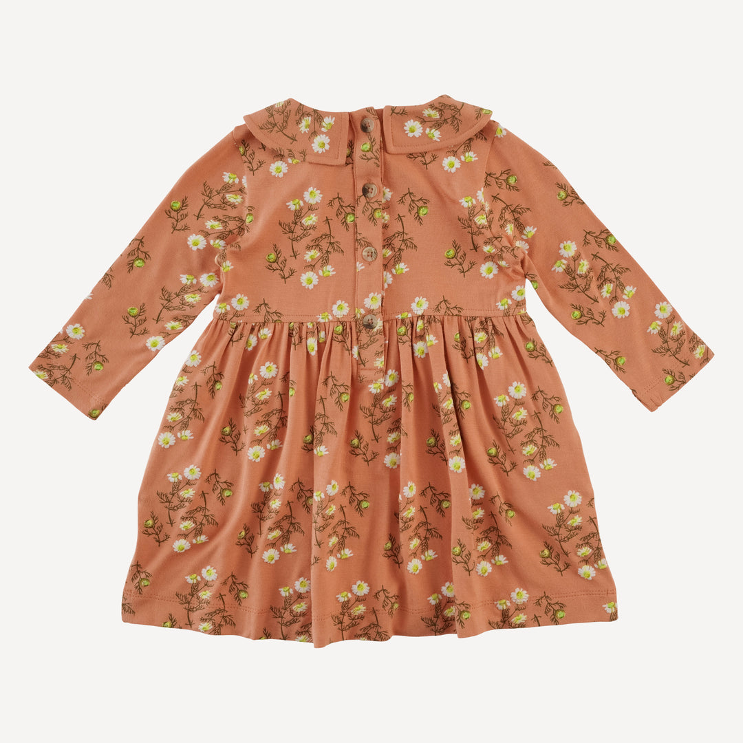 long sleeve peter pan dress | wild chamomile | bamboo