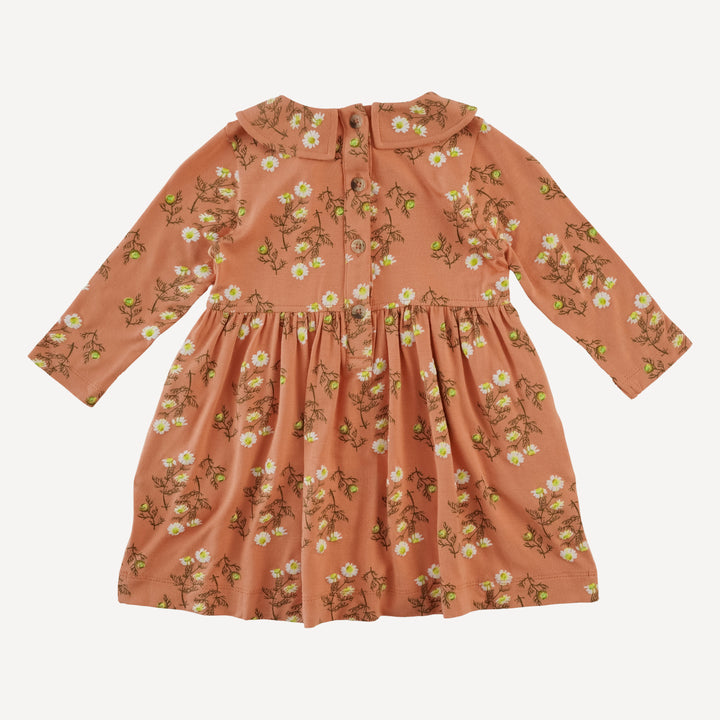 long sleeve peter pan dress | wild chamomile | bamboo