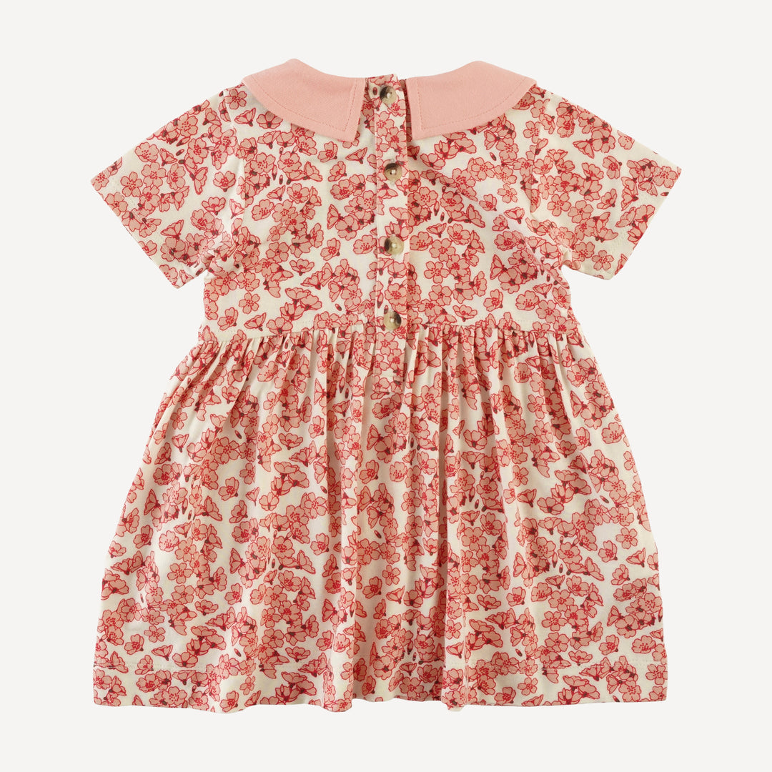 short sleeve peter pan dress | cherry blossom scatter | bamboo