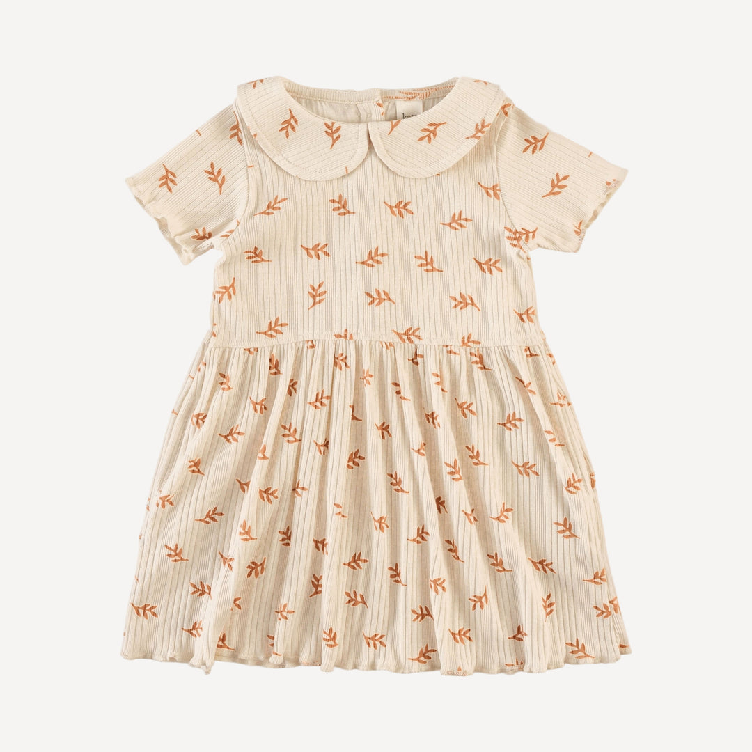 short sleeve lettuce peter pan dress | butterum leaf | organic cotton multi rib
